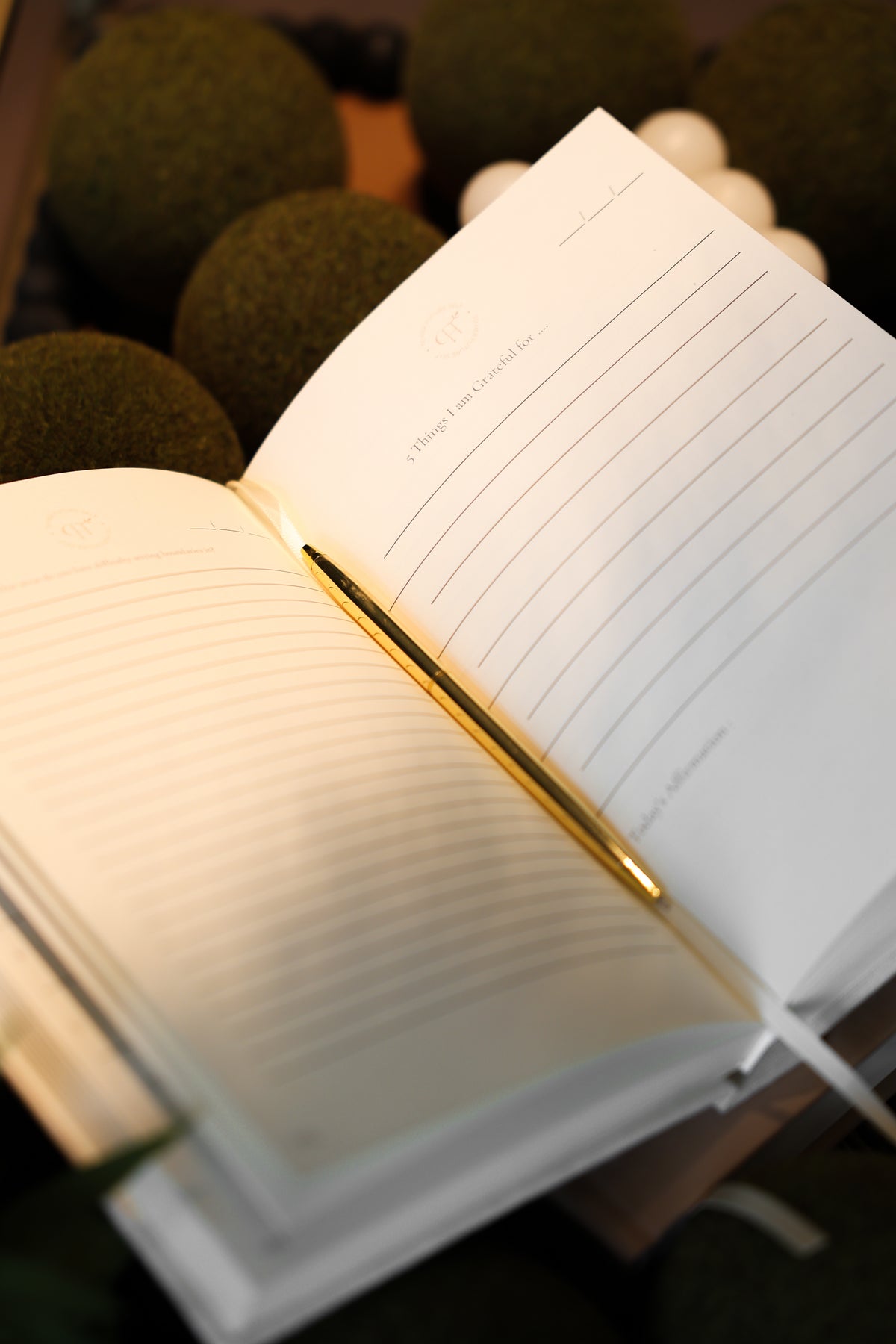 Gratitude & Reflection Journal